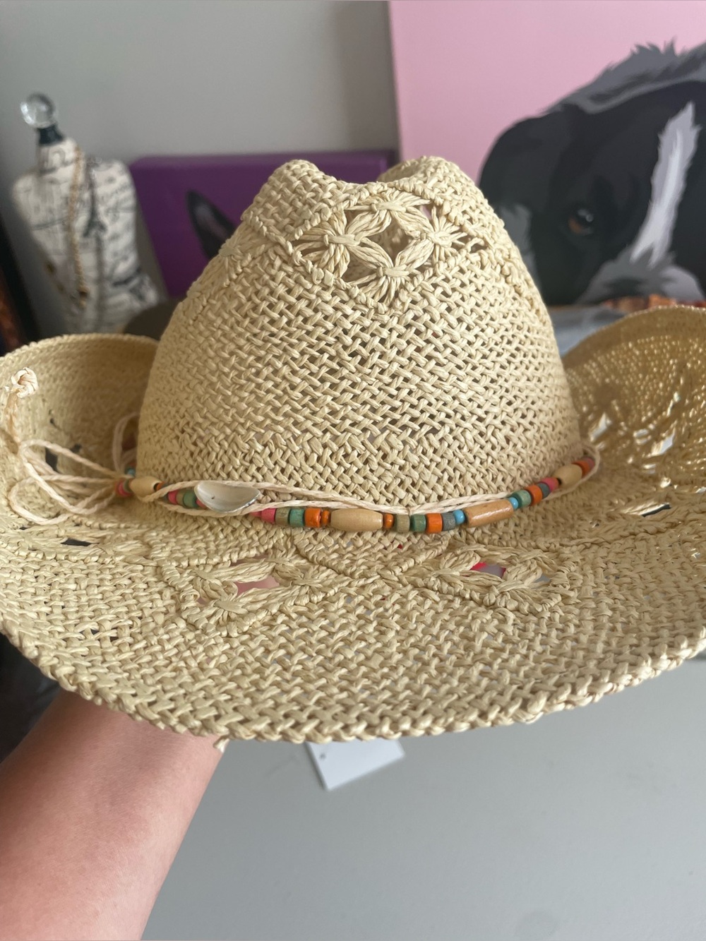 Cappelli 100% Paper Woman’s Cowboy Hat is New never worn